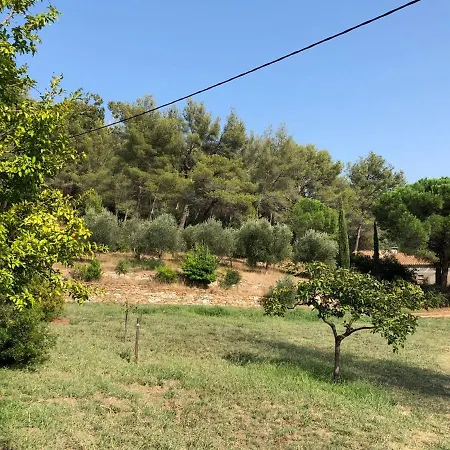 Appartamento L'oliveraie *