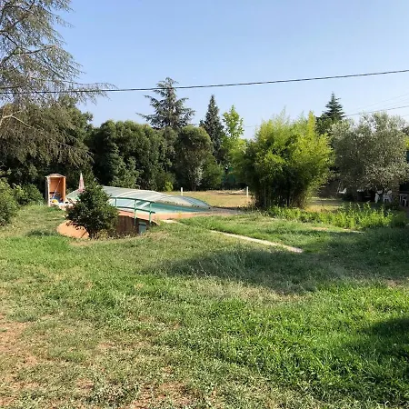 L'oliveraie *