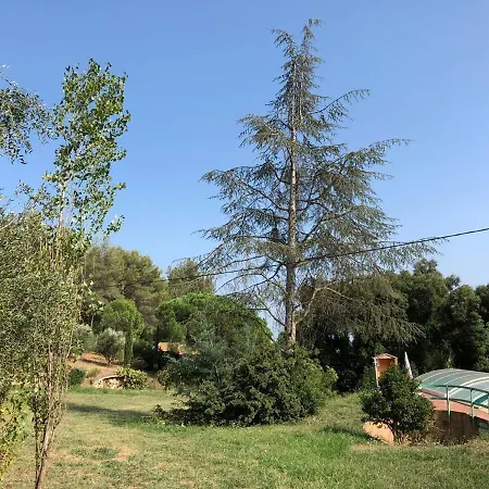 L'oliveraie *